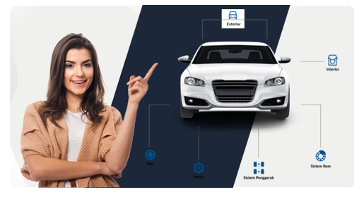 Inspeksi Profesional